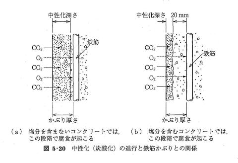 中性化(炭酸化)の進行と鉄筋かぶりとの関係の図cyuseika5-20.jpg